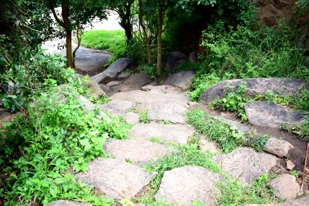 Nijagal hills Karnataka