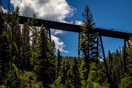 20180712-FS-Beaverhead-PJK-1277