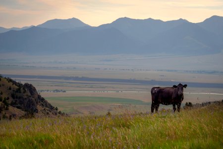 20180710-FS-Beaverhead-PJK-2273