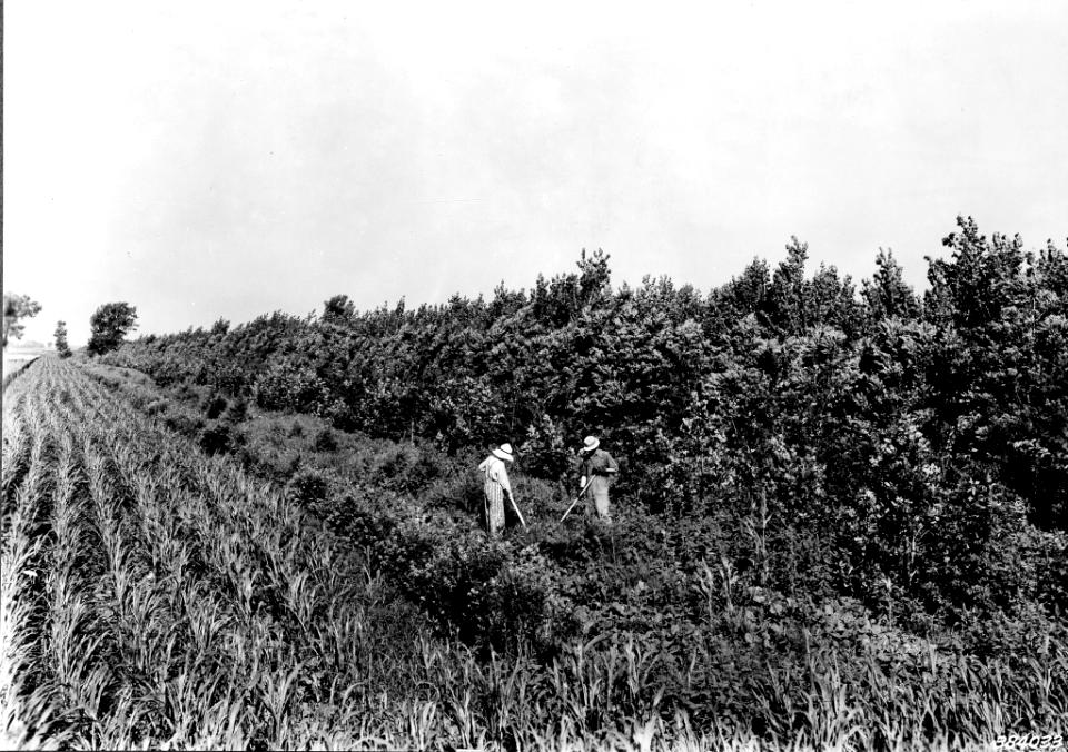 193907XX-FS-South Dakota-WHS-384033