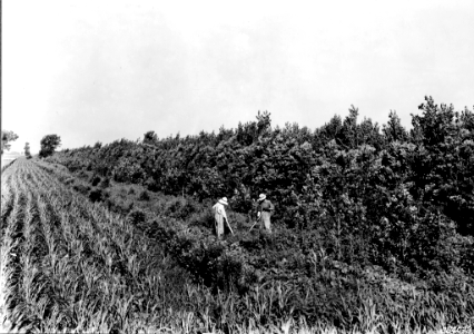 193907XX-FS-South Dakota-WHS-384033