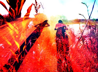 Journey around the Sun