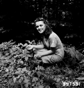 194006XX-FS-Monongahela-BWM-397531