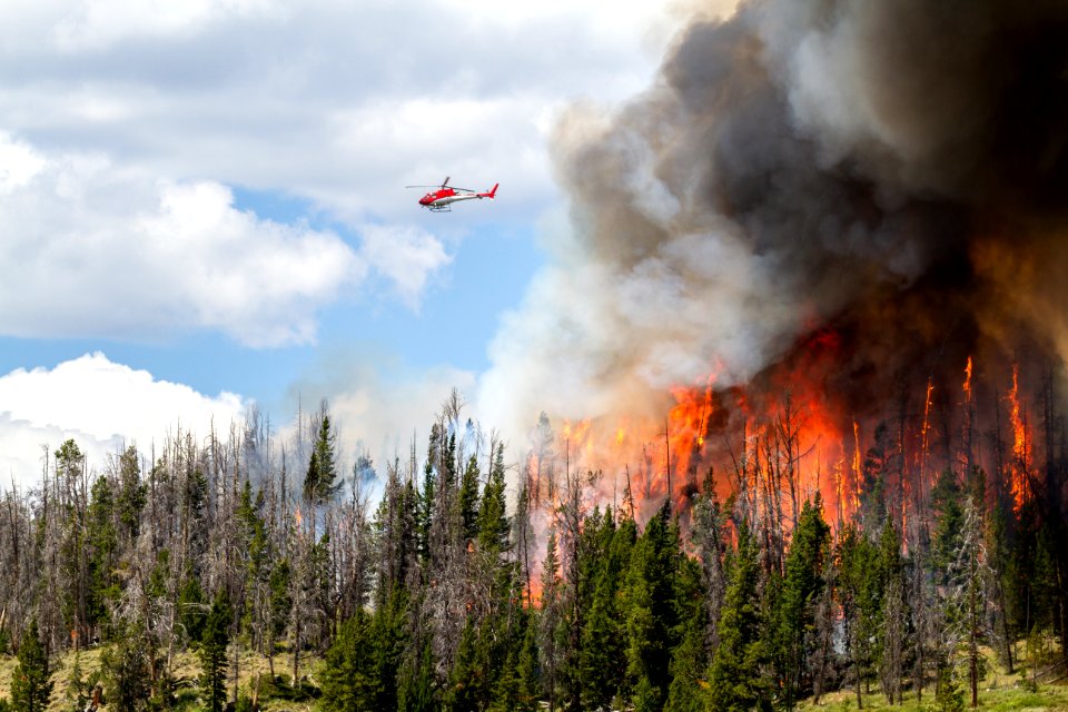 20160731-FS-Shoshone-KH-029.JPG