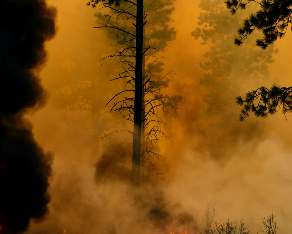 170919-FS-Oregon-CB-017
