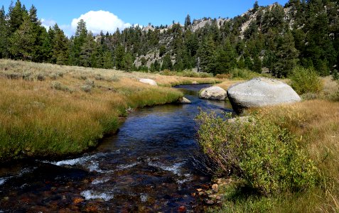 20190918-FS-Humboldt-SilverKingCreek in the HTNF Carson-Iceberg Wilderness-EH-002