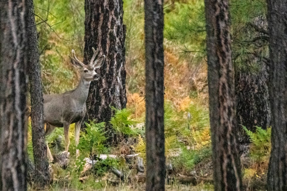 20190926-fs-lsc-1054 49751852861 o