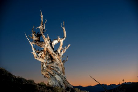 20181019-FS-Inyo-CMR-033
