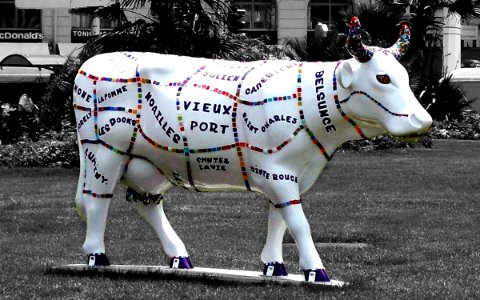 Vache Sur Le Vieux-Port