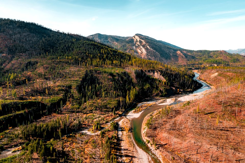 20190329-FS-FlatheadNF-YFYF-090