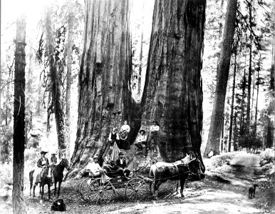 1900XXXX-FS-California-LLD-32686