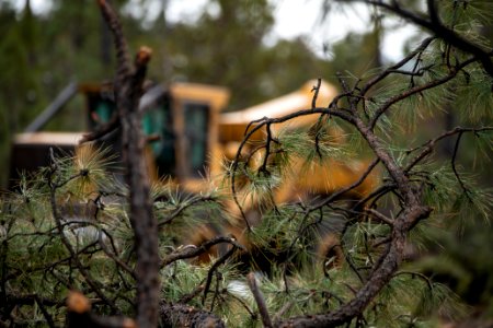 20181204-fs-kaibab-lsc-0415 33272499698 o