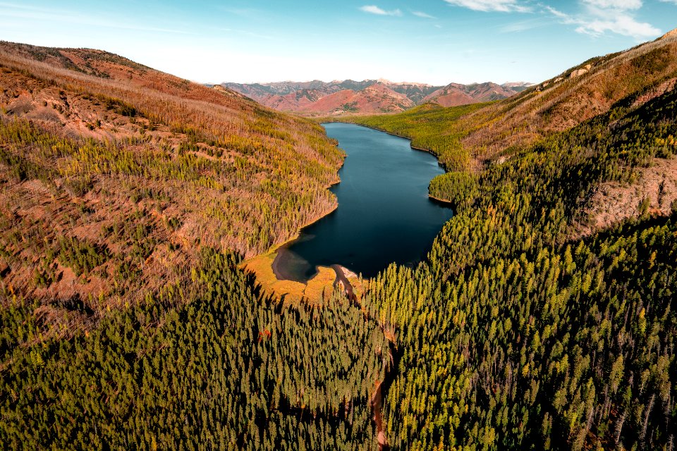 20190329-FS-FlatheadNF-YFYF-088