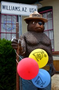 smokey-bear-75th-birthday-celebration-at-the-city-of-williams-visitors-center-2019 48506295827 o