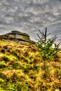 Dartmoor