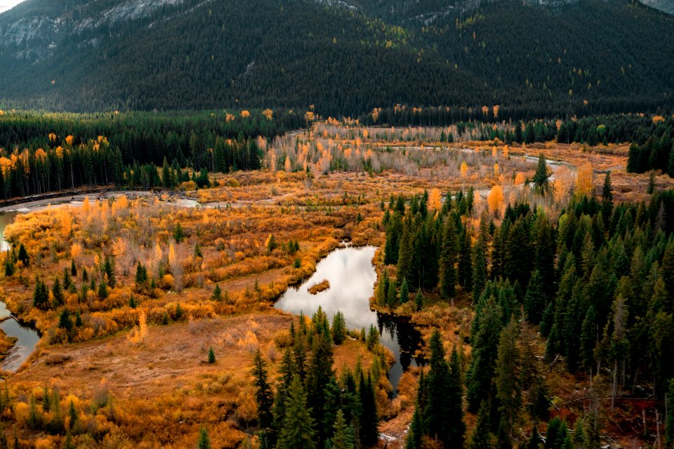 20190329-FS-FlatheadNF-YFYF-033