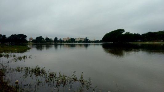 Costanera un domingo