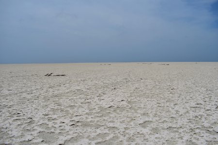 Dhanushkodi