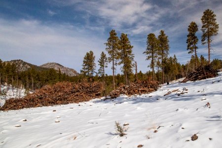 20181204-fs-kaibab-lsc-0026 47095514932 o