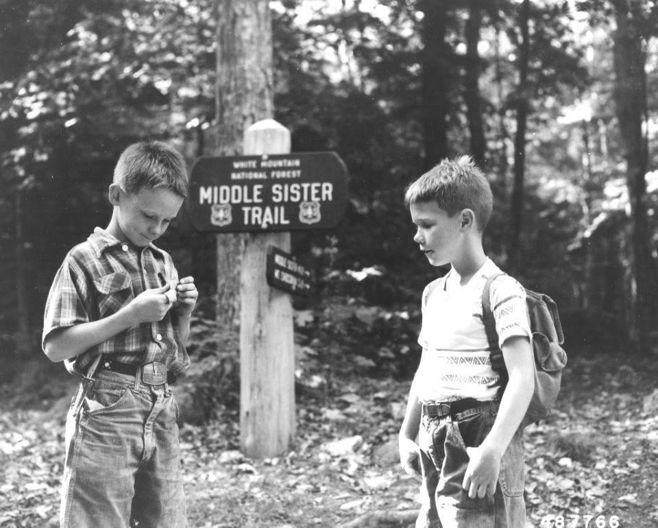 195808XX-FS-White Mountain-AM-487766