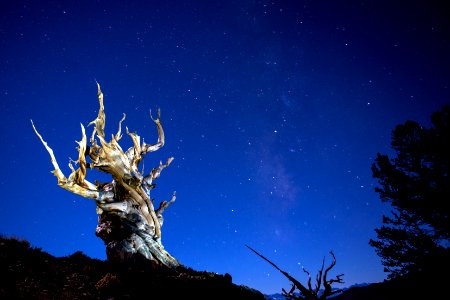 20181019-FS-Inyo-CMR-043