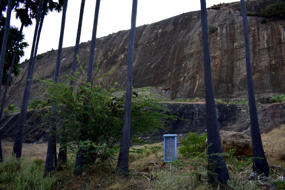 Thirumalapuram rock cut temple