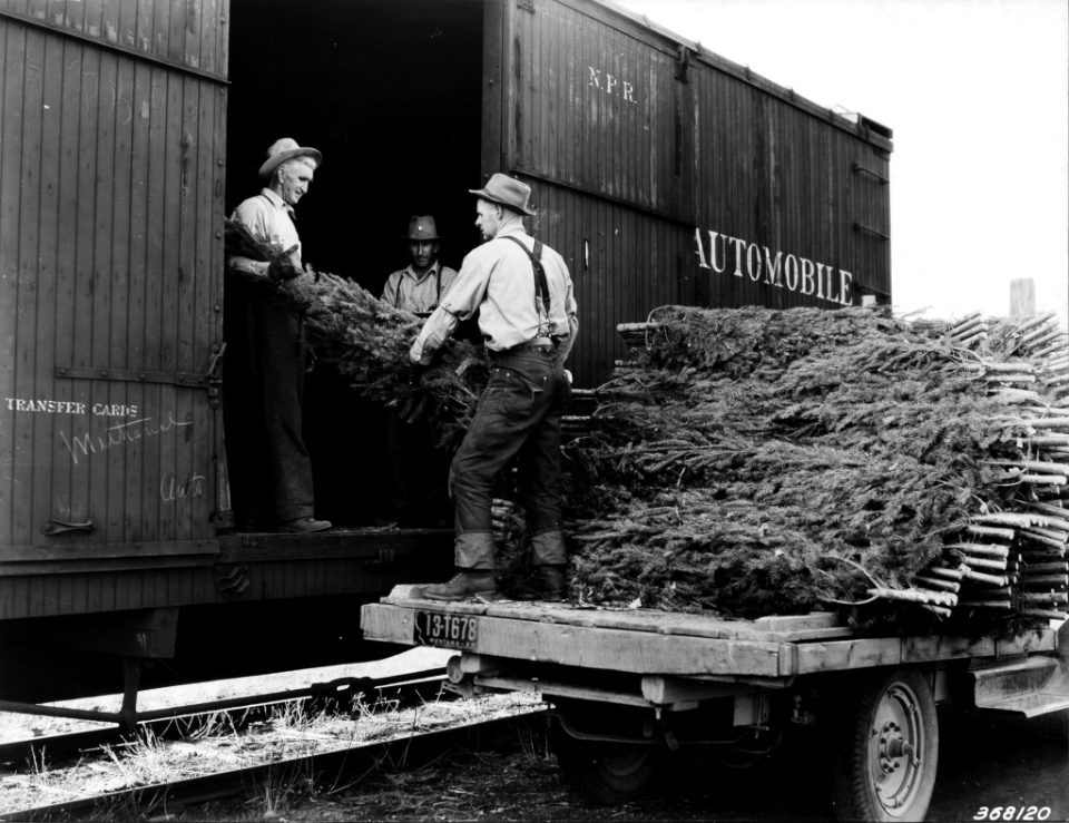 193911XX-FS-Montana-KDS-368120