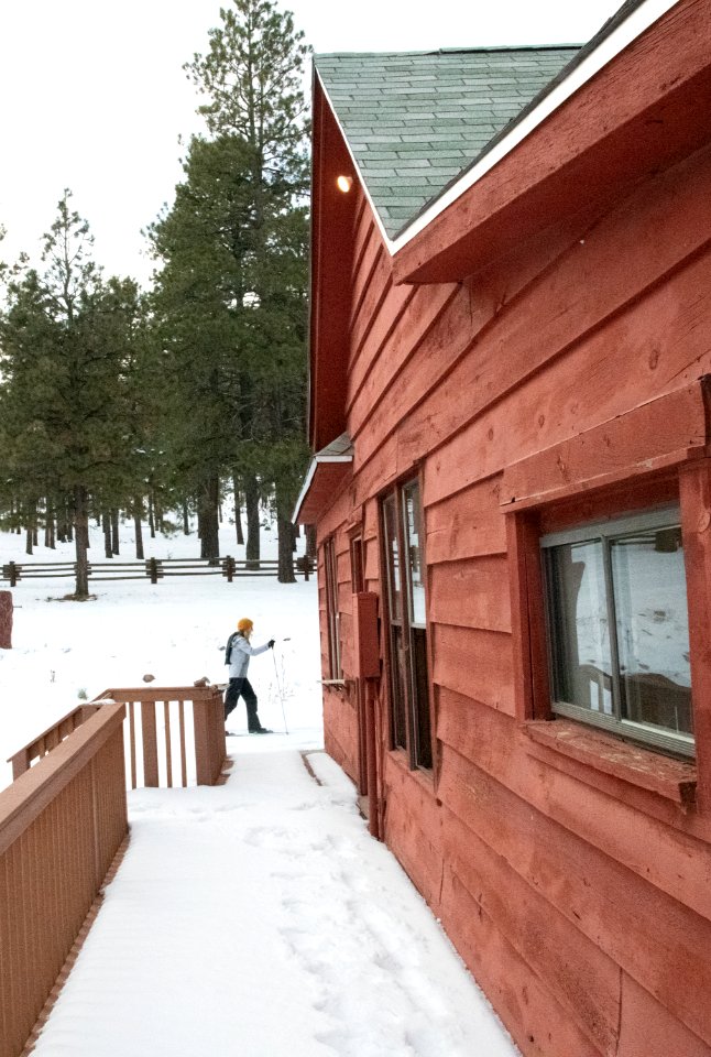 20181204-fs-kaibab-lsc-0757 46233433655 o