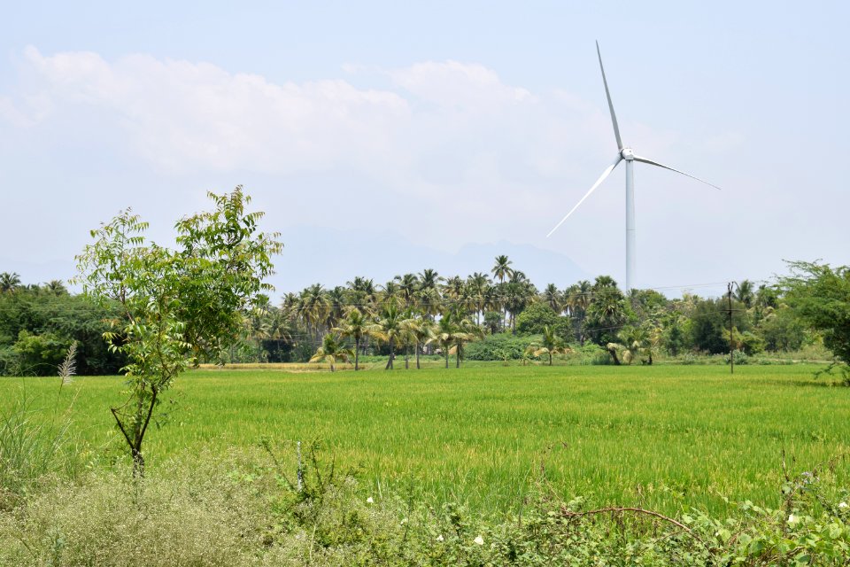 Kalugumalai Vettuvan Koil