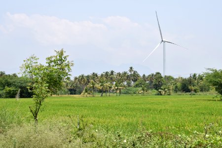 Kalugumalai Vettuvan Koil