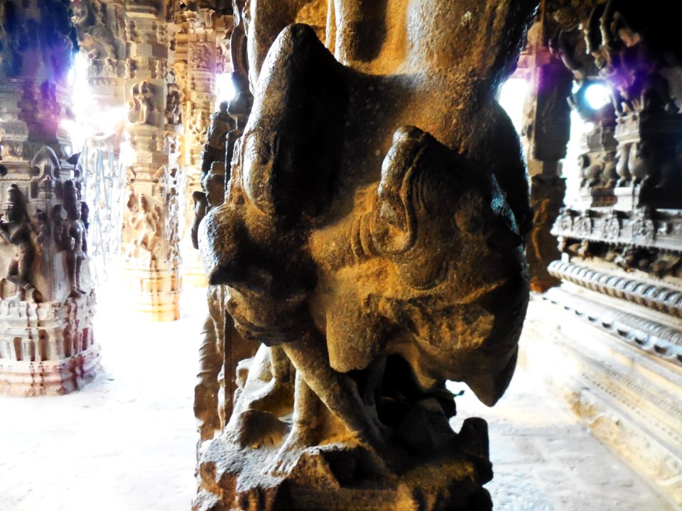 Varadharaja Perumal temple Kanchipuram TamilNadu