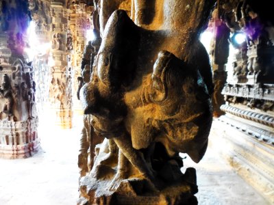 Varadharaja Perumal temple Kanchipuram TamilNadu