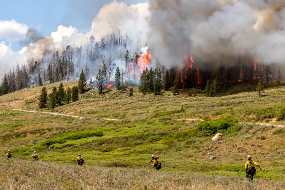 20160731-FS-Shoshone-KH-027.JPG