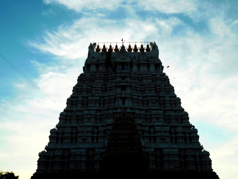 Varadharaja Perumal temple Kanchipuram TamilNadu