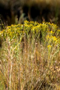 20190927-fs-lsc-0083 49752300102 o