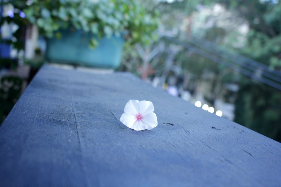 Lonely
