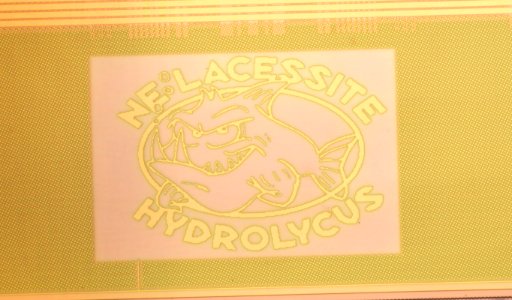 HP PA-8700 - top metal - logo - brightfield - 20x