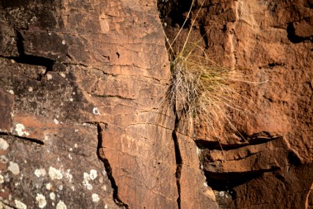 20181203-fs-kaibab-lsc-0783 1 46425402344 o