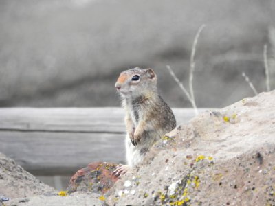 20120410-FS-Payette-BR-001