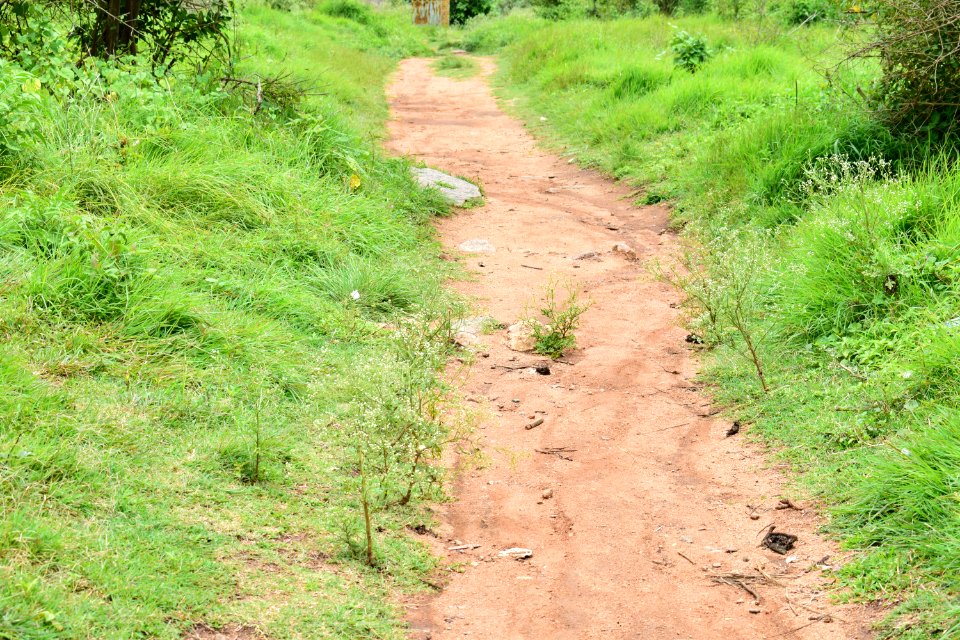 Nijagal hills Karnataka