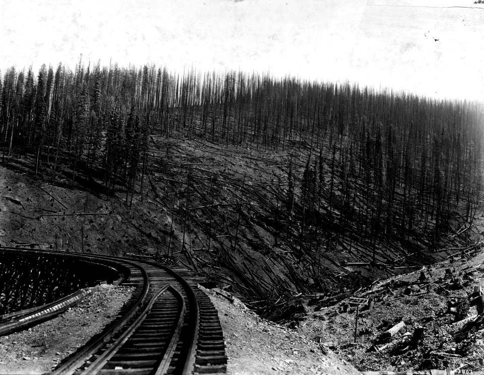 1910XXXX-FS-Lolo-XX-43807