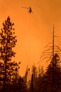 20180811-FS-Rogue-KG-0978