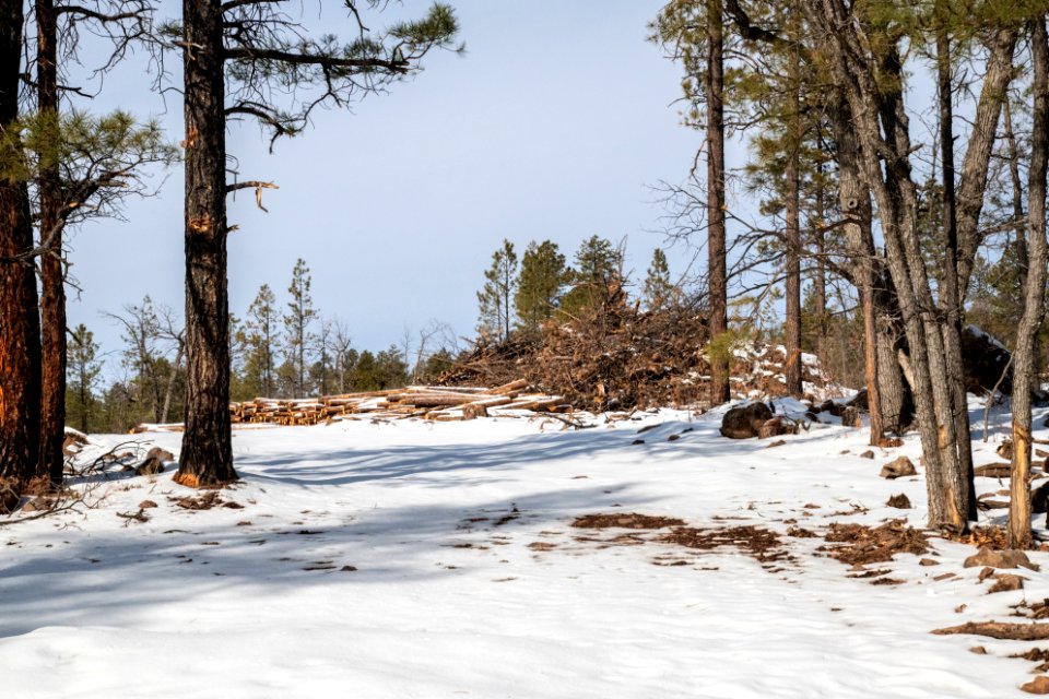 20181204-fs-kaibab-lsc-0041 47147819901 o