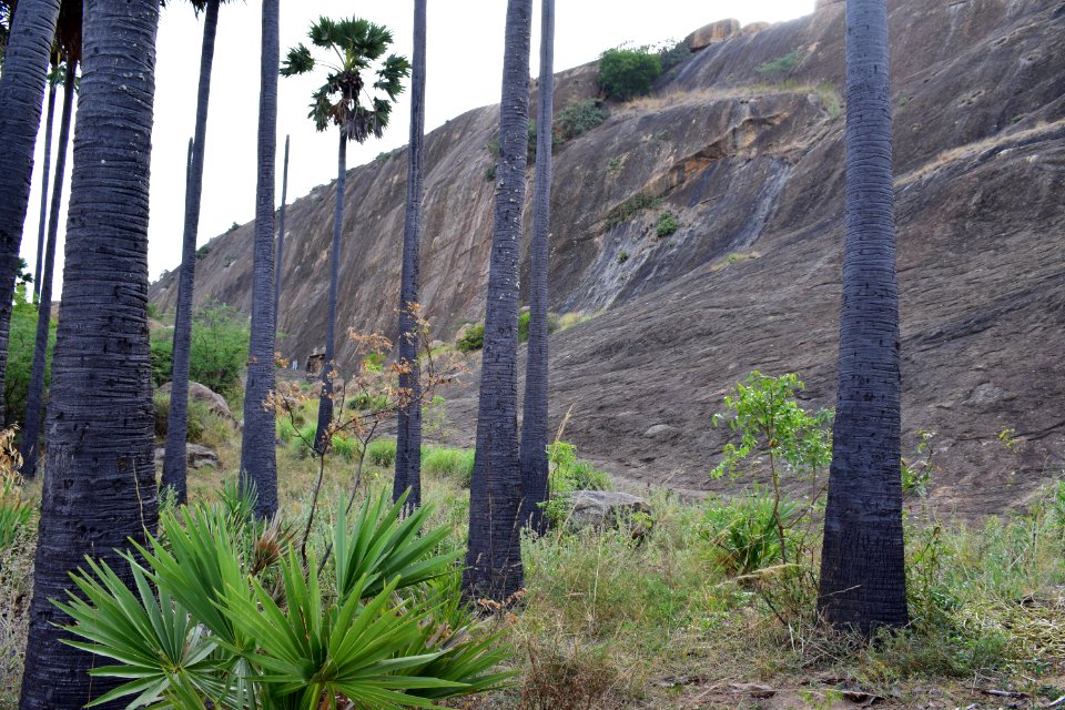 Thirumalapuram rock cut temple
