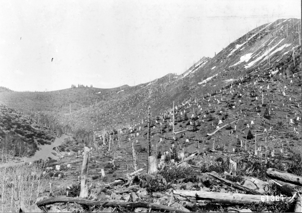19050614-FS-Wasatch-WBH-61361