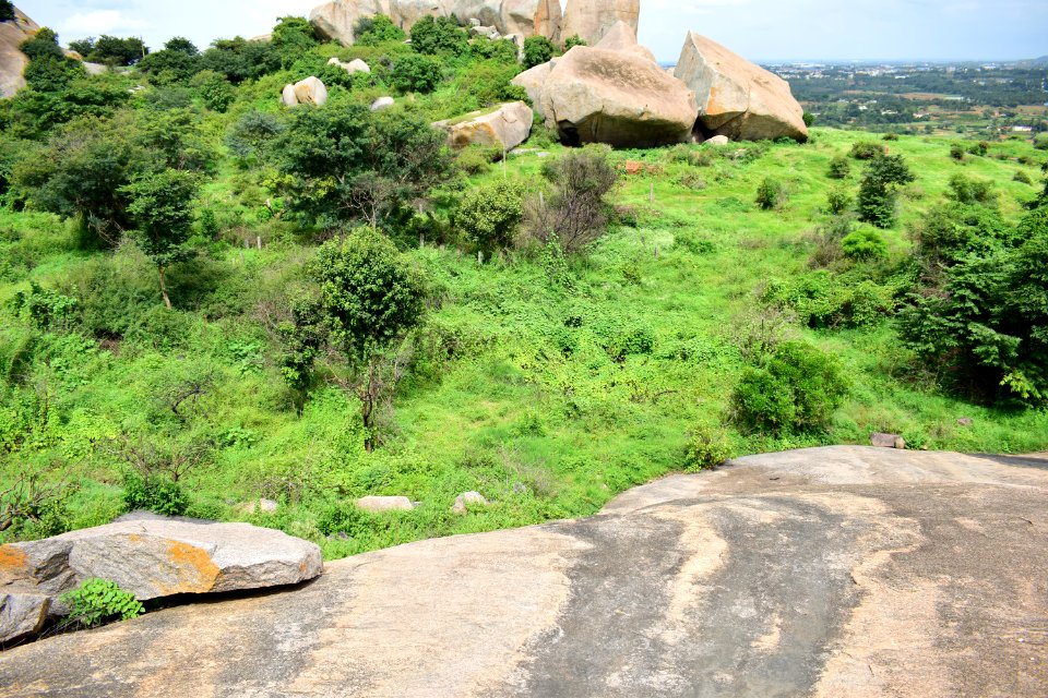 Nijagal hills Karnataka