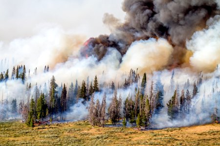 20160731-FS-Shoshone-KH-044.JPG