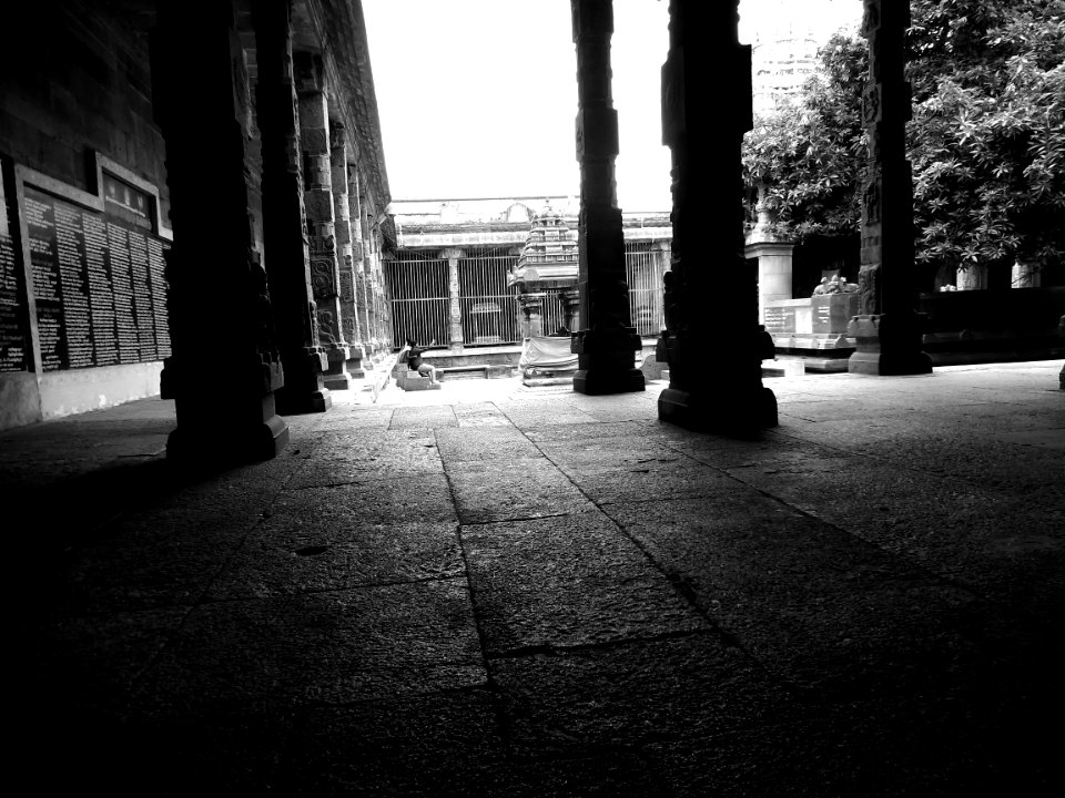 Ekambaranathar temple Kanchipuram Tamil Nadu