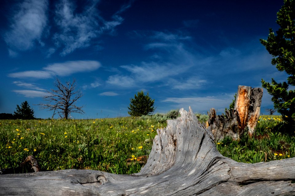 20180710-FS-Beaverhead-PJK-2479