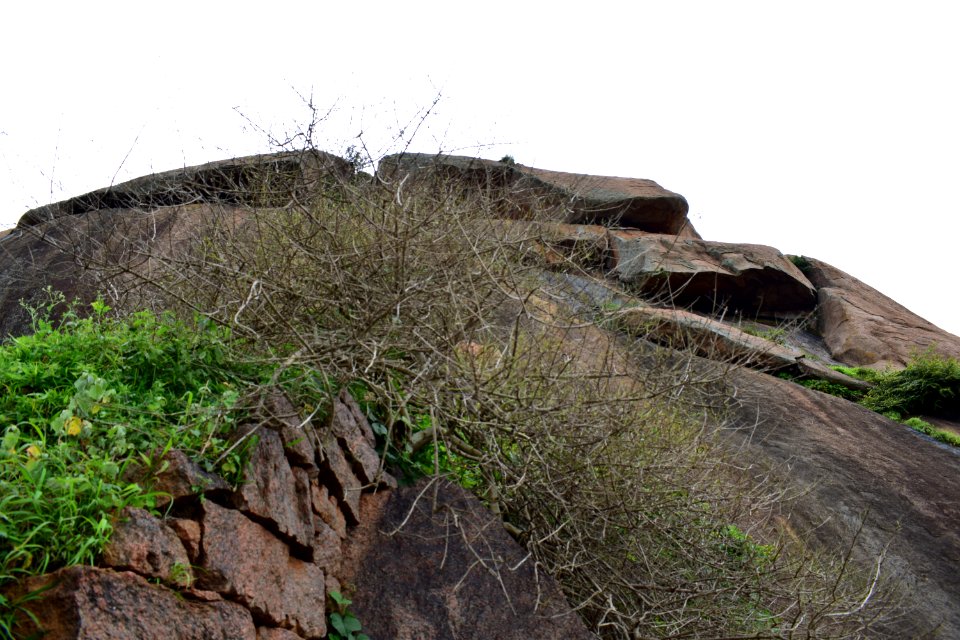 Nijagal hills Karnataka